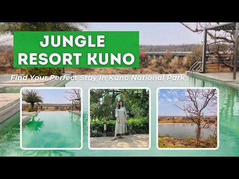 Perfect place to stay in Kuno National Park | Jungle resort Kuno | Complete tour of the resort