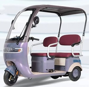 [Hot Item] Three Wheels Cargo Electric Tricycle Motorcycle Mobility Scooter Ebike 3 Wheels Electric Bike with Cover