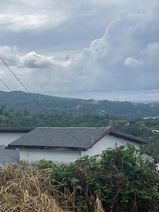 Gangsters’ paradise | The Crystal Evans