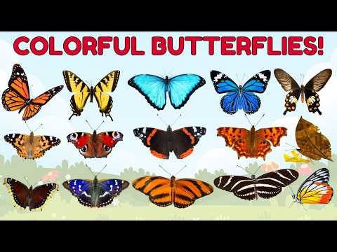 Beautiful Butterflies for Kids 🦋 | Learn Colorful Butterfly Names & Types | Preschool Learning