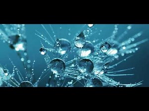 【1時間耐久BGM】アマオト / もっぴーさうんど【公式】