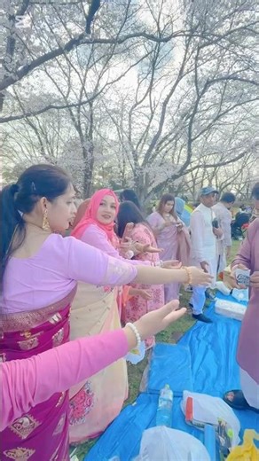 cherry Blossom drawing #shorts #shortsfeed #youtubeshorts