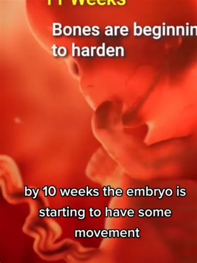 from conception to #birth in 60 seconds the #miracle of #life that we help overcoming #infertility and #ttc every day