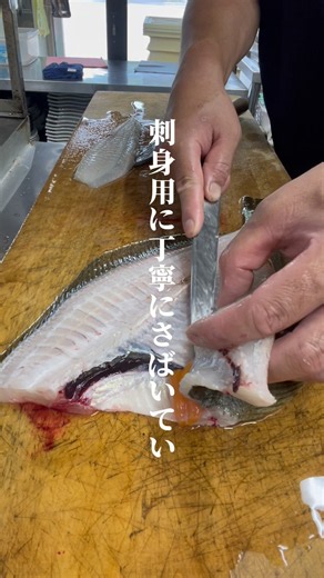 【職人技】ヒラメを5枚おろし！厚い身を無駄なく美しく捌く魚屋の仕事 #ヒラメ #5枚おろし #魚の捌き方 #魚屋 #福井グルメ