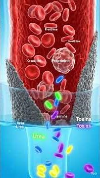 How Dialysis Cleans Your Blood – Complete 3D Animation #trending #science #artificialkidney