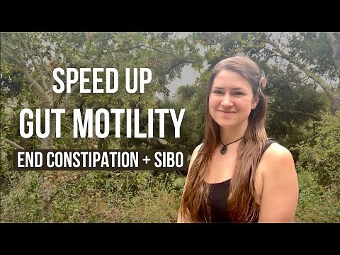 What Causes Slow Gut Motility + How To Fix It