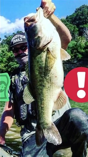 Big Bass HUNT! 🐟 Bassmaster Highlights Bass Dynasty . New Kayak Series 2026 Trophy Bass & Stripers