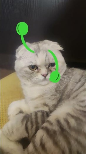 alien cat;3