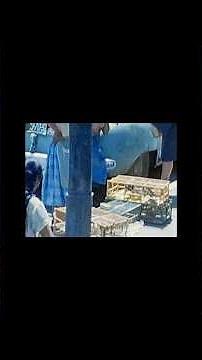 Unseen 8mm Footage: Children Selling Wild Birds in 1960s Mexico