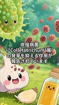 “苗・精油・風通し”で攻める🍓 イチゴ炭疽病は〈清浄苗＋自然由来の抗菌＋通気〉で低リスク化📝