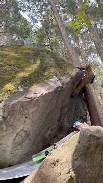 【低身長】 兵庫某所 啄木鳥 初段＋