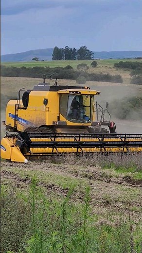 NEW HOLLAND TX 5.90//COLHEITA DE SOJA NO RS!!! #newholland