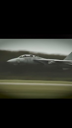 F-14D Tomcat Demo Team! | The F-14 Tomcat
