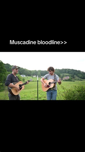 Haven’t gotten over this one since it came out @Muscadine Bloodline #fyp #music #4you #muscadinebloodline #guitar