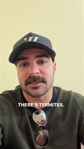 Understanding Wood Destroying Insect Reports and Termite Damage