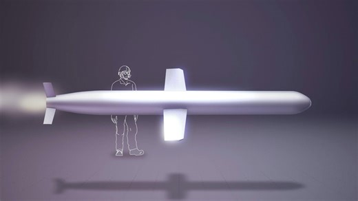 Tomahawk missile - RAW/STOCKSHOTS