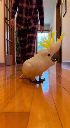 Discover the Magic of Music in Indoor Hallways