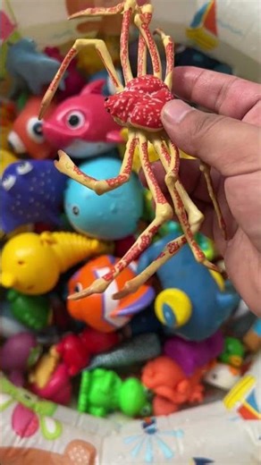 Learn Ocean Animals with Toys | Sea Creatures Names & Facts