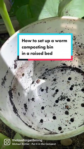 How to set up a worm composting bin in a raised garden bed. I repeat the process, but this time is a bit different because I don’t have coco coir to set up the worm’s bed. So this time, I used organic gardening soil, basically fine wood chips. The brand I use is Kellogg. I also used them as mulch in the garden. ✅Here are the steps I did I place the bucket back into a raised bed First, I added fine wood chips and water to moisten it. I’m testing it out as I saw one of my gardening friends @@garde