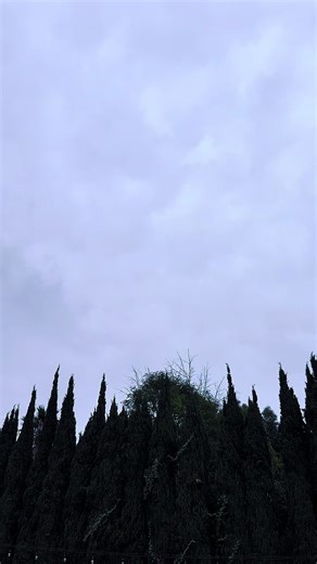 Pool remodel #poolplumbing #poolconstruction #poolremodel | pool