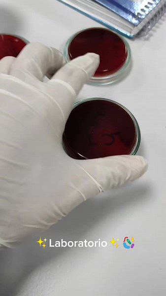 Geyser Lab on TikTok