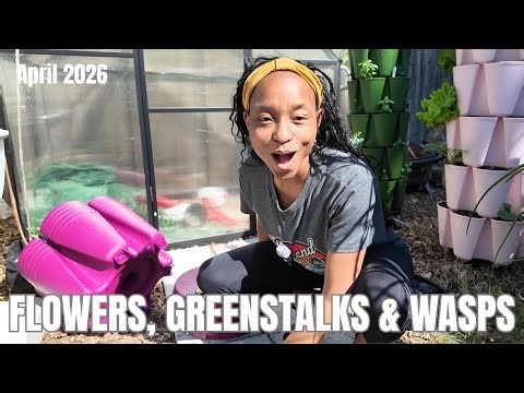 Vertical Garden Setup | How Many Bags of Soil Does it Take? | Best Greenstalk Accessories (imo)
