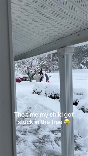 #funnyvideo #funnytiktok #winter #snow