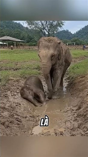 A surprising bath time.