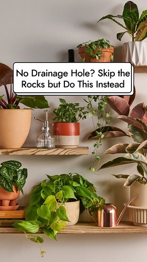 Skip the rocks to help prevent root rot from happening to your plants. Plus, what our resident plant expert suggests to use instead. #TheSpruce #plantcare #houseplantclub #indoorgarden | The Spruce