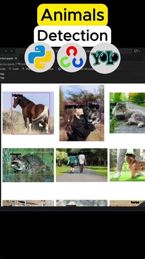 Animal Detection using YOLOv10 #computervision #deeplearning #machinelearning #programming #coding