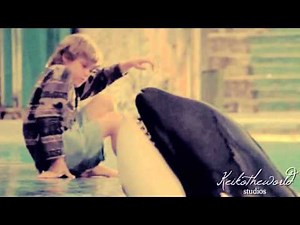 ]]Free Willy[[ friendship of Jesse and Willy