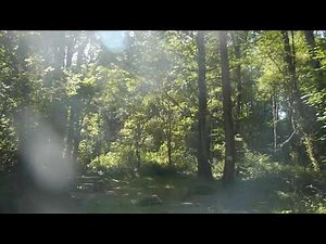 Winston Creek Campground Tour (Near Riffe Lake, WA)