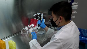 High-throughput Confocal Imaging of Quantum Dot-Conjugated SARS-CoV-2 Spike Trimers to Track Binding and Endocytosis in HEK293T Cells