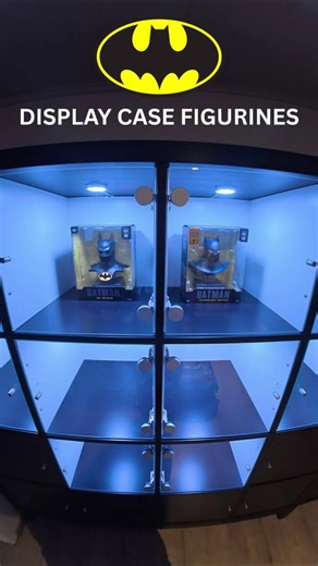 Display case for figurines
