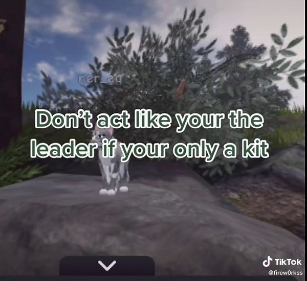 Warrior Cats Roblox Roleplay Tips for Kids | How to Not be an Annoying Kit