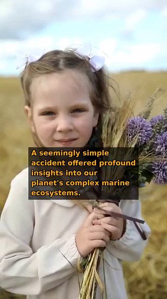 The Rubber Duck Accident That Mapped the Ocean!