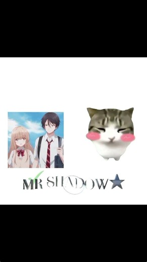 Who is best romantic story #anime#animeedit#mrshadow#rek