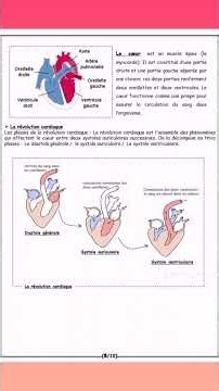 Cours SVT 3ème année collège