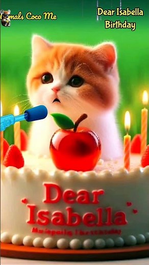 DEAR ISABELLA BIRTHDAY | HAPPY BIRTHDAY SONG WITH NAMES | Adorable Cute Cat 😺 #cat #happybirthday
