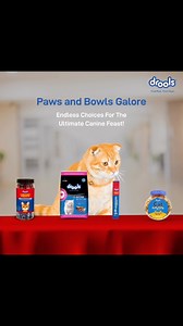 15K views · 28 reactions | Unleash the tail-wagging, tongue-drooling extravaganza  From paw-lickin’ good treats to lip-smackin’ kibble, we’ve got the purrfect buffet that will have your pets taste buds drooling!  #JustDroolIt #FeedRealFeedClean #NoByProducts #Drools #DroolsPetFood #PetFood #DroolsForPets #PetLovers #PetParents #CatFood #CatTreats | Drools | Facebook