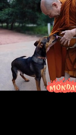 buddhateachingaudiobook_ Follow us now @buddhateachingaudiobook...