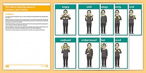 BSL Home Learning Lesson 6 - Emotions and Feelings