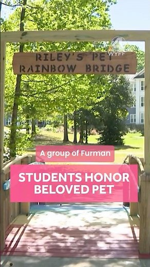 Beloved campus dog honored with pet memorial bridge at Furman University