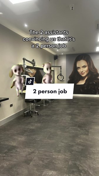 We love our assistants 🥰#CapCut #barbiedogsdancing