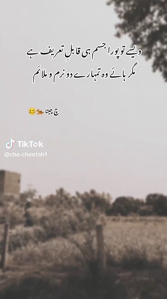 Exploring the Art of Poetry in Pakistan