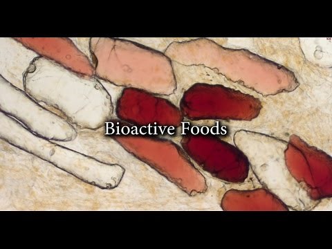 Bioactive foods