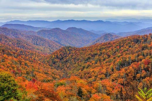 2025 Smoky Mountains Fall Foliage and Forecast