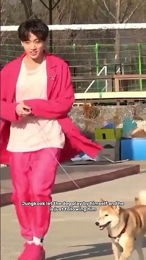 Pet Dog handling by Huyng Jin and his maknae Jungkook #btsshorts