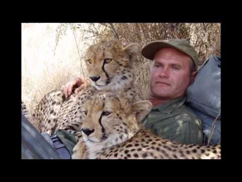 Big Cat Diary Song - David Poore