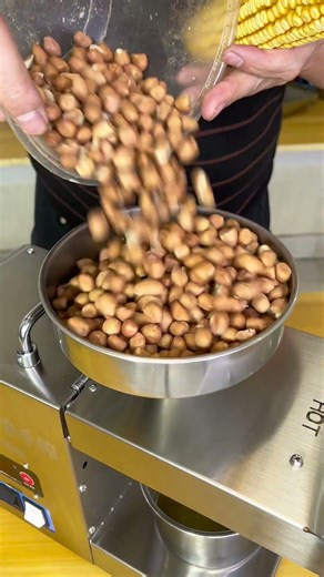 How to Make Pure Peanut Oil at Home | Mini Oil Extraction Machine